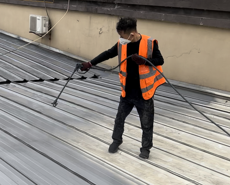 �����������ᱣ��